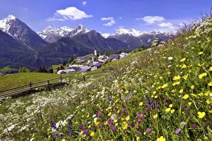 Meadow flowers against Ftan in the Lower Engadin, Graubunden, Switzerland