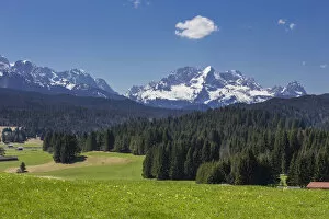 Meadow and forest in front of Alpspitze Mountain and the Wetterstein Mountains, Mittenwald, Bavaria, Germany