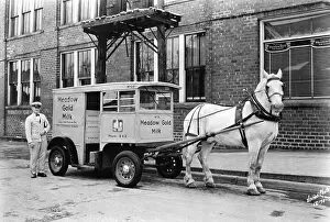 Milk Prints: Meadow Gold Milk Delivery In Bloomington