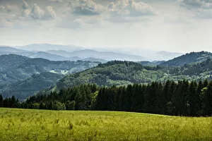 Images Dated 19th June 2014: Meadow and wooded hills, at Freiamt, Black Forest, Baden-Wurttemberg, Germany