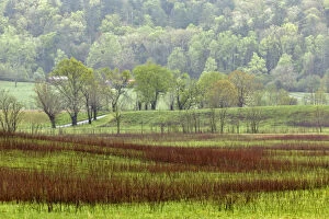 Images Dated 27th April 2013: Meadows in Cades Cove, Great Smoky Mountains National Park, Tennessee, USA