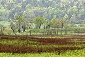 Meadows in Cades Cove, Great Smoky Mountains National Park, Tennessee, USA