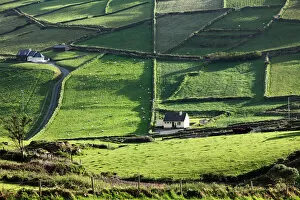 Exterior View Gallery: Meadows with walls, Firkeel, Beara Peninsula, Cork, Republic of Ireland, British Isles, Europe