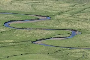 Images Dated 9th June 2013: Meandering creek, pastures, Suouroy, Faroe Islands, Denmark