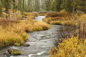 Images Dated 9th May 2016: Meandering stream in autumn, Yellowstone National Park, Wyoming, USA