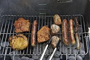 Meat and sausages or bratwursts on a grill, Germany