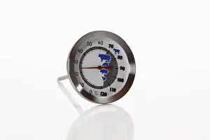 Appliances Prints: Meat thermometer