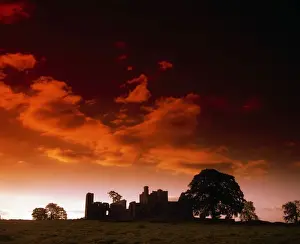 Co Meath, Bective Abbey