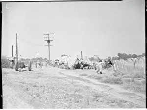 Visalia Prints: Medical Camps for Migratory People
