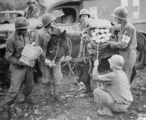 Mule Prints: US Medical Corpsmen Loading Blood Plasma