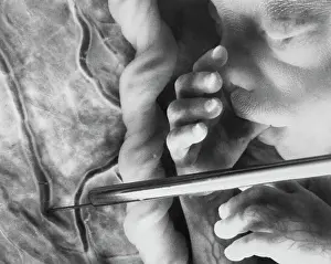 Medical Telescope Inside Pregnant Woman's Womb