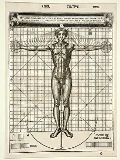 Healthcare System Prints: Medicine, Anatomy, the human body in its proportions