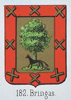 Medieval heraldry, Coat of arms, Shield with Green, Oak, Black, wolf, red, border, gold, cross, Spanish, Vintage illustration