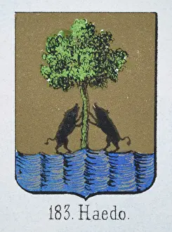 Medieval heraldry, Coat of arms, Shield with Green, Oak, Tree, Black, Pig, Spanish, Vintage illustration