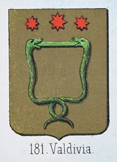 Prints of Medieval heraldry, Coat of arms, Shield with Green, Snakes, Red, Stars, Gold, Spanish, Vintage illustration Coats Of Arms And Heraldic Badge Prints: Medieval heraldry, Coat of arms