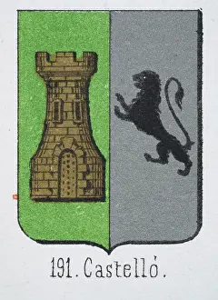 Medieval heraldry, Coat of arms, Shield with Halved, Gold Castle, Green, Black, Rampant, Lion, Silver, Spanish, Vintage illustration