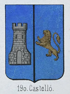 Lion Prints: Medieval heraldry, Coat of arms