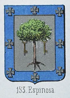 Medieval heraldry, Coat of arms, Shield with Oak, Tree, God, Key, Spanish, Vintage illustration