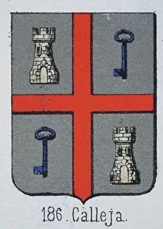 Medieval heraldry, Coat of arms, Shield with Quartered, White, Castle, Blue, Key, Red, Cross, Silver, Spanish, Vintage illustration
