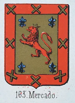 Medieval heraldry, Coat of arms, Shield with Red, Lion, Crown, fleur de lis, Spanish, Vintage illustration