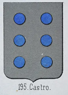 Medieval heraldry, Coat of arms, Shield with Six, Blue, Dot, silver, Spanish, Vintage illustration