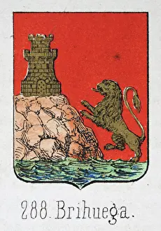 Medieval heraldry, Coat of arms, Shield with, Rampant, Gold, Lion, Castle, Spanish, Vintage illustration