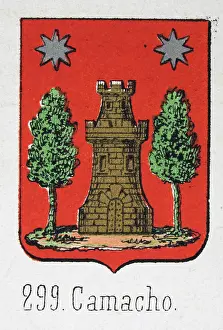 Medieval heraldry, Coat of arms, Shield with, Silver, Star, Over, Gold, Castle, Trees, Spanish, Vintage illustration