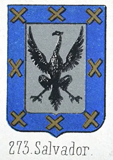 Medieval heraldry, Coat of arms, Shield with, Black, Eagle, Silver, Gold, Cross, blue, Spanish, Vintage illustration