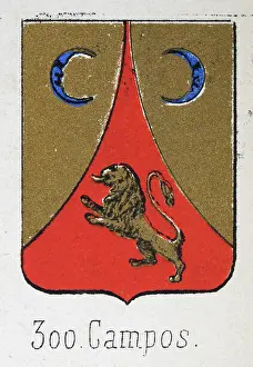 Medieval heraldry, Coat of arms, Shield with, Blue, crescent, moon, rampant, gold, lion, Spanish, Vintage illustration