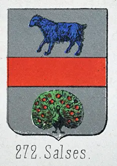 Medieval heraldry, Coat of arms, Shield with, blue, lamb, Peacock, Silver, red, Spanish, Vintage illustration
