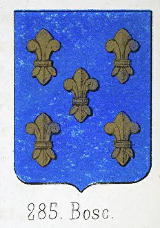 Medieval heraldry, Coat of arms, Shield with, Five, Gold, fleur de lis, Spanish, Vintage illustration
