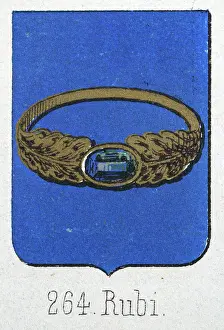 Medieval heraldry, Coat of arms, Shield with, Gold, Ring, Gemstone, Blue, Spanish, Vintage illustration