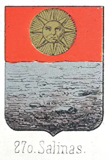 Medieval heraldry, Coat of arms, Shield with, Gold, Sun, Face, Red, Sky, Silver, Sea, Spanish, Vintage illustration
