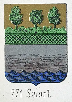 Medieval heraldry, Coat of arms, Shield with, Green, Tree, Sea, Spanish, Vintage illustration