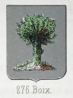 Medieval heraldry, Coat of arms, Shield with, Green, tree, Silver, Spanish, Vintage illustration