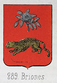 Medieval heraldry, Coat of arms, Shield with, Silver, rose, gold, leopard, red, Spanish, Vintage illustration