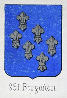 Medieval heraldry, Coat of arms, Shield with, Six, silver, fleur de lis, blue, Spanish, Vintage illustration