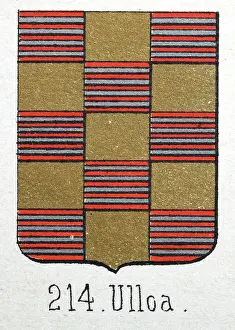 Medieval heraldry, Coat of arms, Shield with, Checked, stripes, gold, red, silver, Spanish, Vintage illustration