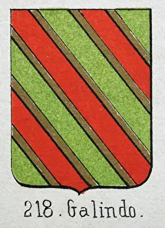 Medieval heraldry, Coat of arms, Shield with, diagonal, stripes, green, gold, red, Spanish, Vintage illustration