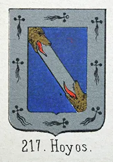Medieval heraldry, Coat of arms, Shield with, Dragon, Blue, Silver, Spanish, Vintage illustration