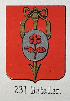 Prints of Medieval heraldry, Coat of arms, Shield with, Gold, Arrow, Silver, Medallion, Flower, Red, Spanish, Vintage illustration Coats Of Arms And Heraldic Badge Prints: Medieval heraldry, Coat of arms
