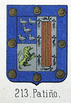 Medieval heraldry, Coat of arms, Shield with, gold, seashell, green, lion, blue, Spanish, Vintage illustration