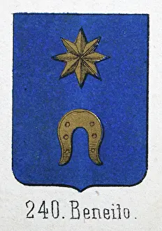 Medieval heraldry, Coat of arms, Shield with, Gold, Star, Horseshoe, Blue, Spanish, Vintage illustration