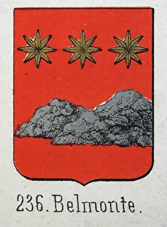 Prints of Medieval heraldry, Coat of arms, Shield with, Gold, Star, Silver, Rocks, Red, Spanish, Vintage illustration Coats Of Arms And Heraldic Badge Prints: Medieval heraldry, Coat of arms