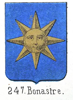 Medieval heraldry, Coat of arms, Shield with, Gold, Sun, Face, Blue, Spanish, Vintage illustration