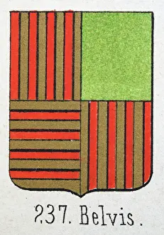 Prints of Medieval heraldry, Coat of arms, Shield with, Quartered, Striped, Red, Gold, Green, Spanish, Vintage illustration Coats Of Arms And Heraldic Badge Prints: Medieval heraldry, Coat of arms