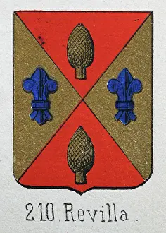 Medieval heraldry, Coat of arms, Shield with, Quartered, Gold, pinecone, blue, fleur de lis, gold, red, Spanish, Vintage illustration