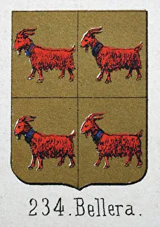 Medieval heraldry, Coat of arms, Shield with, Red, Goat, Gold, Quartered, Spanish, Vintage illustration