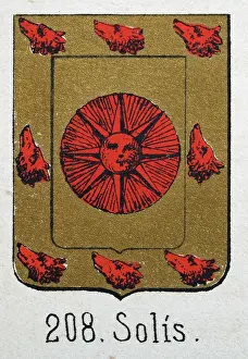Medieval heraldry, Coat of arms, Shield with, red, sun, wolf, head, gold, Spanish, Vintage illustration