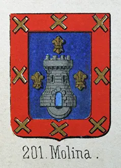 Prints of Medieval heraldry, Coat of arms, Shield with, Silver, Castle, Gold, fleur de lis, Blue, Red, Spanish, Vintage illustration Coats Of Arms And Heraldic Badge Prints: Medieval heraldry, Coat of arms